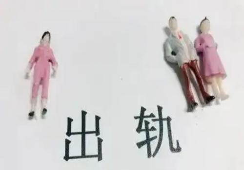 2022最新离婚调查取证申请书范本